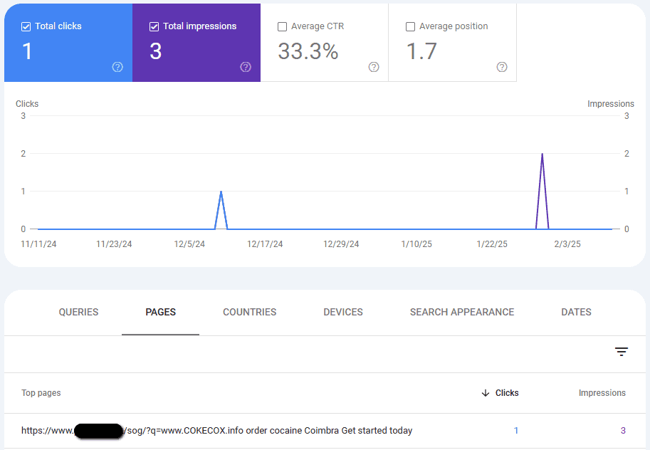 Измамници стоят зад наплива от лоши URL адреси в Google Search Console